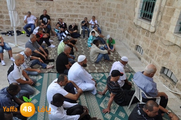 3eed 7san bek 808 (35).JPG